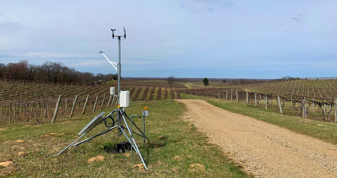 An Enviroweather station in a grape vineyard.